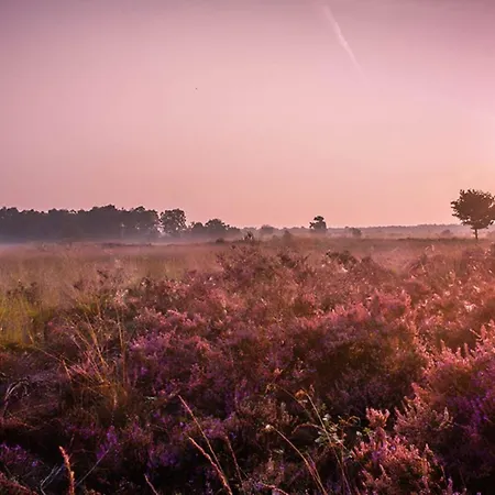 6-persoons Veluwelodge Xl Voorthuizen